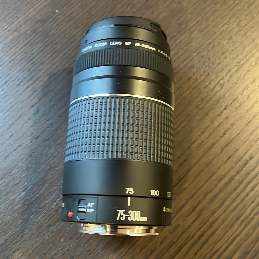 Canon EF 75-300 mm (f/4 - 5.6 lll)